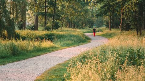 De 5 mooiste wandelroutes rond Peer 